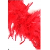 Premium Turkey Boa Red Aarox. 200 Grams